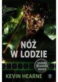 Nóż w lodzie