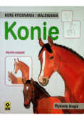 Kurs rysowania i malowania Konie