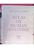 Atlas of human anatomy  Tom III