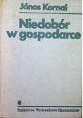 Niedobór w gospodarce