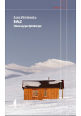 Biał Zimna wyspa Spitsbergen