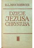 Dzieje Jezusa Chrystusa