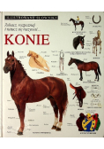 Ilustrowane słowniki.Konie