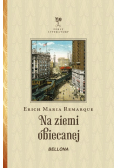 Na ziemi obiecanej