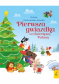 Pierwsza gwiazdka nad Świerkową Polaną