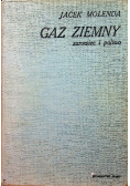 Gaz ziemny