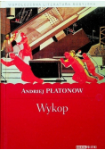 Współczesna literatura rosyjska Tom 13 Wykop
