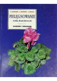 Pielęgnowanie roślin doniczkowych