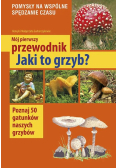 Mój pierwszy przewodnik. Jaki to grzyb?