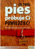 Co Twój pies próbuje Ci powiedzieć Poznaj tajemnice psiej psychologii