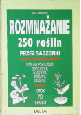Rozmnażanie 250 roślin przez sadzonki