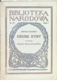 Grube Ryby 1926 r.