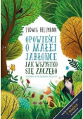 Opowieści o małej jabłonce Jak wszystko się zaczęło