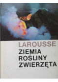 Ziemia rośliny zwierzęta