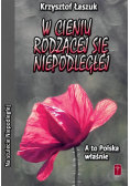 W cieniu rodzącej się Niepodległej