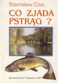 Co zjada pstrąg