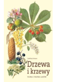 Drzewa i krzewy