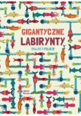Gigantyczne labirynty Znajdź i policz