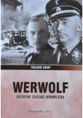 Werwolf ostatni zaciąg Himmlera
