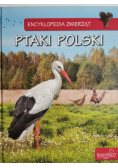 Encyklopedia zwierząt Ptaki Polski