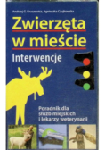 Zwierzęta w mieście interwencje