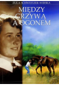 Między grzywą a ogonem