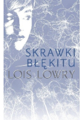Skrawki błękitu