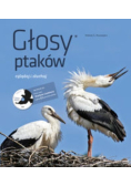 Głosy ptaków oglądaj i słuchaj