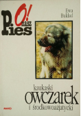 O nasz pies! Owczarek kaukaski i środkowoazjatycki