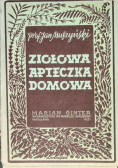 Ziołowa apteczka domowa