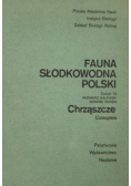 Fauna słodkowodna Polski zeszyt 10 Chrząszcze