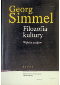 Filozofia kultury Wybór esejów