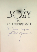 Boży pył codzienności