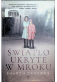 Światło ukryte w mroku