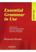 Essential Grammar in use