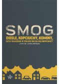 Smog. Diesle, kopciuchy, kominy, czyli dlaczego W pOLSCE NIE DA SIĘ ODDYCHAĆ?