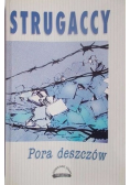 Pora deszczów