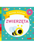 Zwierzęta Poznaję dotykiem