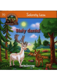 Sekrety lasu Biały daniel