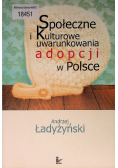Społeczne i kulturowe uwarunkowania adopcji w Polsce