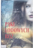 Pąki lodowych róż