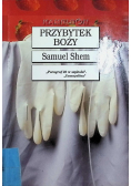 Przybytek boży