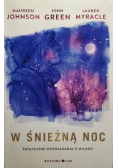 W śnieżną noc