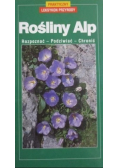 Rośliny Alp