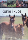 Konie i kuce