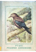 Ptaki prawnie chronione