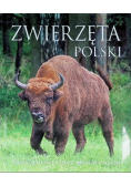 Zwierzęta Polski
