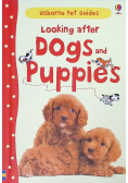Looking after Dogs and Puppies