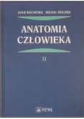 Anatomia człowieka t.2