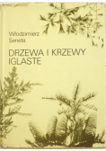 Drzewa i krzewy iglaste